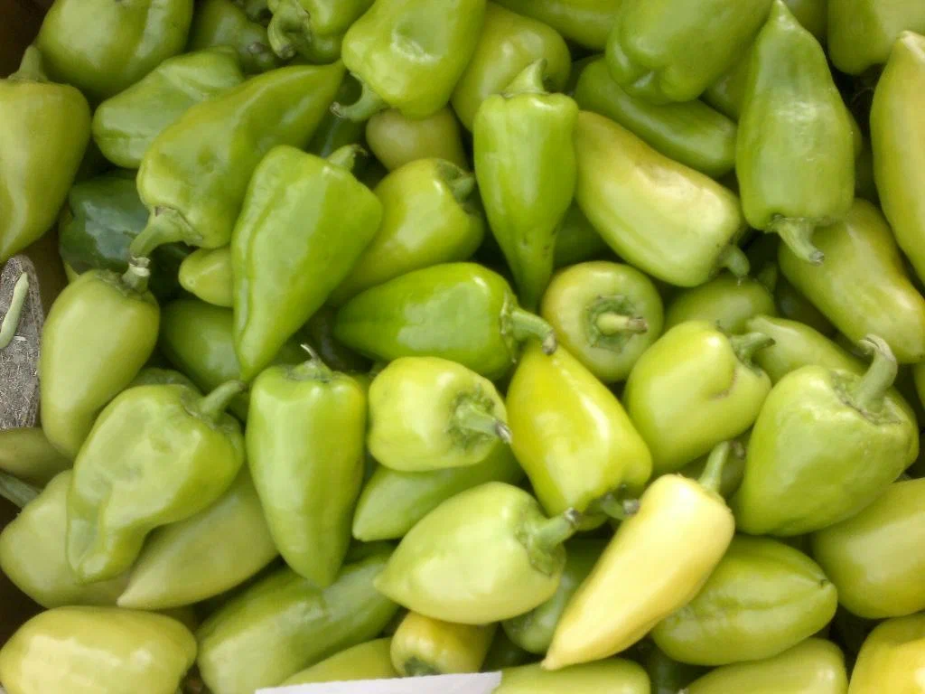 Зеленый перец: Вкусный и Полезный Овощ для Вашего Стола