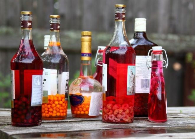 Искусство домашней алхимии: секреты приготовления традиционных и авторских настоек и ликеров