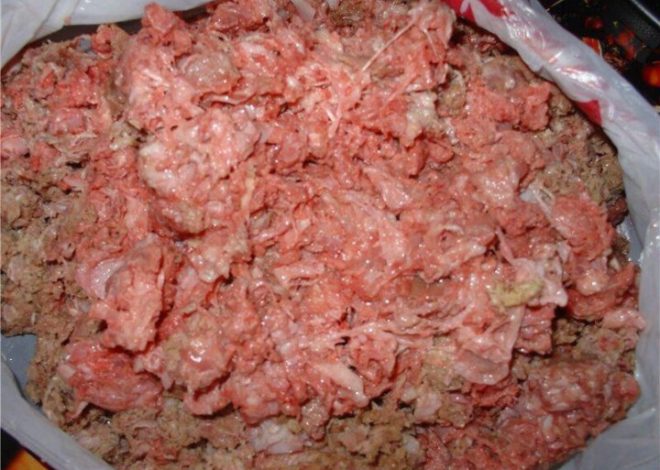 Почему куриный фарш – лучший выбор мяса для питания собак?
